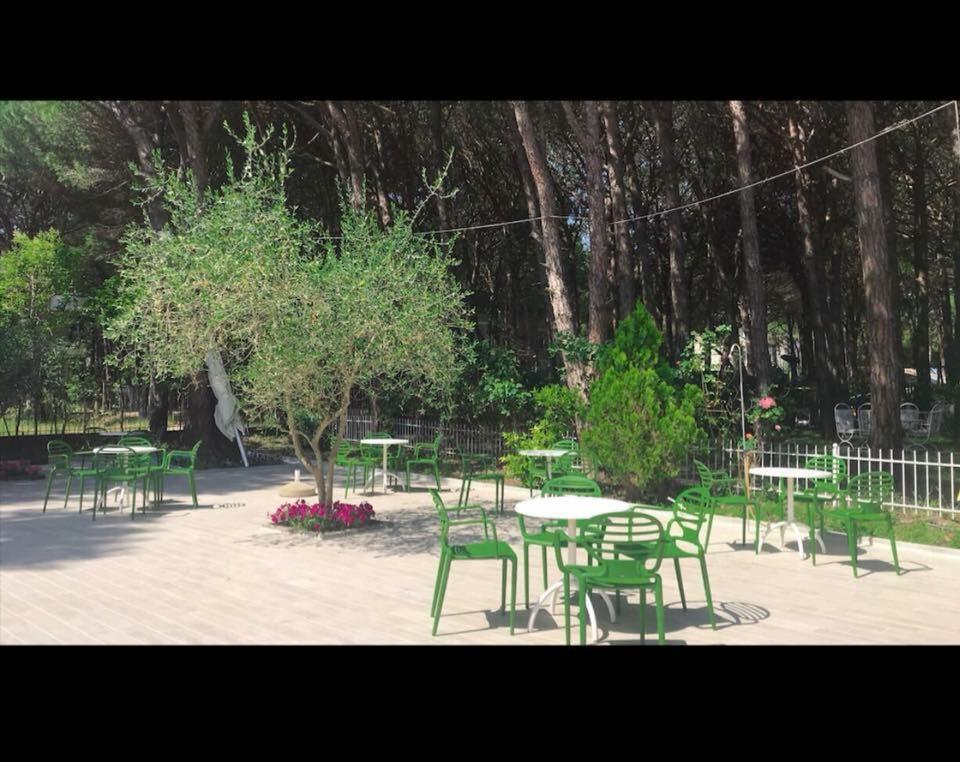 Holiday Home Pishat E Buta 28 Golem  Zewnętrze zdjęcie